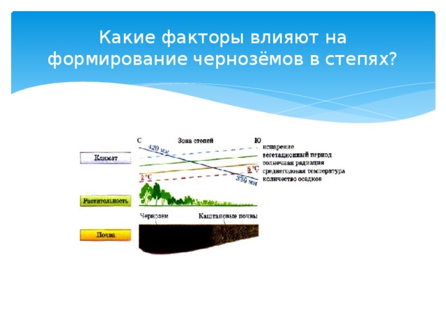 Какие факторы влияют на формирование чернозёмов в степях? 