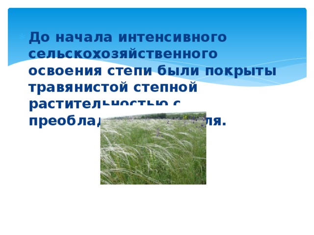 До начала интенсивного сельскохозяйственного освоения степи были покрыты травянистой степной растительностью с преобладанием ковыля. 