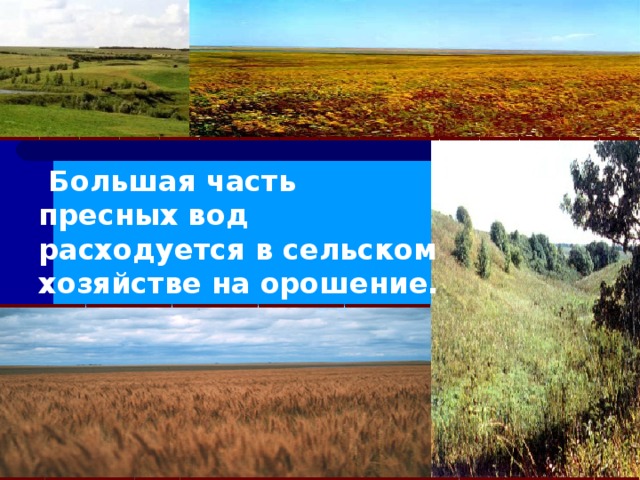  Большая часть пресных вод расходуется в сельском хозяйстве на орошение.  Большая часть пресных вод расходуется в сельском хозяйстве на орошение.   