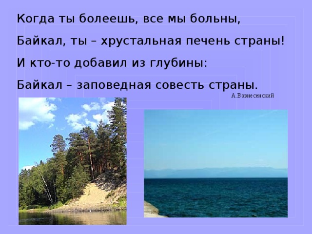 Когда ты болеешь, все мы больны, Байкал, ты – хрустальная печень страны! И кто-то добавил из глубины: Байкал – заповедная совесть страны. А.Вознесенский 