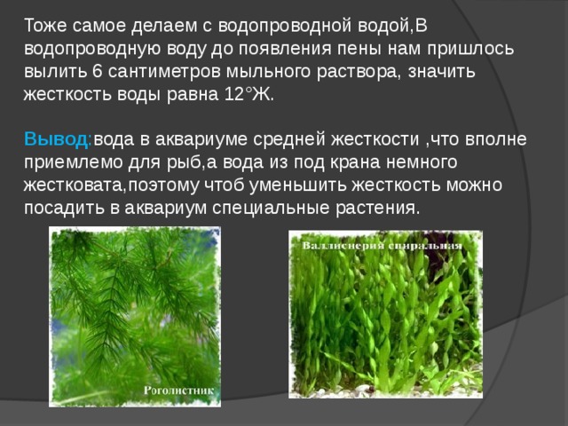    Тоже самое делаем с водопроводной водой,В водопроводную воду до появления пены нам пришлось вылить 6 сантиметров мыльного раствора, значить жесткость воды равна 12°Ж.  Вывод : вода в аквариуме средней жесткости ,что вполне приемлемо для рыб,а вода из под крана немного жестковата,поэтому чтоб уменьшить жесткость можно посадить в аквариум специальные растения.    