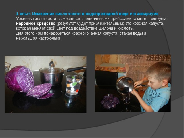 1 опыт : Измерение кислотности в водопроводной воде и в аквариуме.  Уровень кислотности измеряется специальными приборами ,а мы используем народное средство (результат будет приблизительным) это красная капуста, которая меняет свой цвет под воздействие щелочи и кислоты.  Для этого нам понадобиться краснокочанная капуста, стакан воды и небольшая кастрюлька.   