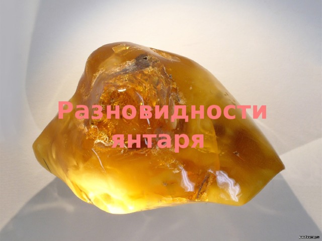 Разновидности янтаря 