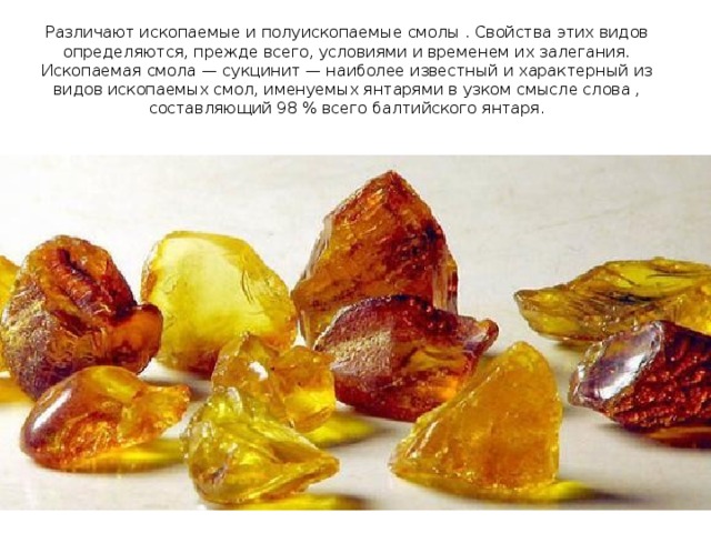 Различают ископаемые и полуиcкопаемые смолы . Свойства этих видов определяются, прежде всего, условиями и временем их залегания. Ископаемая смола — сукцинит — наиболее известный и характерный из видов ископаемых смол, именуемых янтарями в узком смысле слова , составляющий 98 % всего балтийского янтаря. 