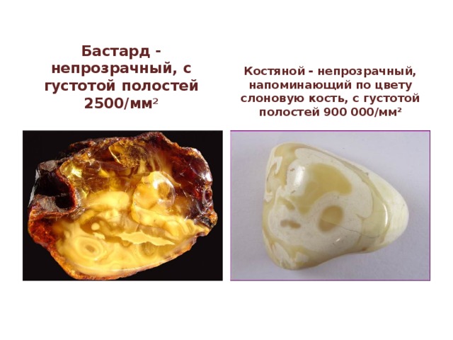  Бастард - непрозрачный, с густотой полостей 2500/мм 2 Костяной - непрозрачный, напоминающий по цвету слоновую кость, с густотой полостей 900 000/мм 2 