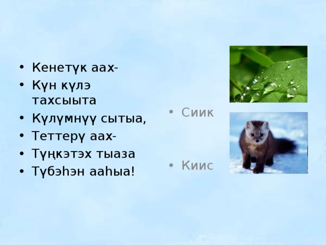 Кенетүк аах- Күн күлэ тахсыыта Күлүмнүү сытыа, Теттерү аах- Түңкэтэх тыаза Түбэhэн ааhыа! Сиик Киис 