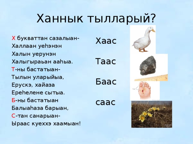 Ханнык тылларый? Х букваттан сазалыан- Халлаан уеhэнэн Халын уерунэн Халыгыраьан ааhыа. Т -ны бастатыан- Тылын уларыйыа, Ерускэ, хайаза Ереhелене сытыа. Б -ны бастатыан Балыаhаза барыан, С -тан санарыан- Ыраас куеххэ хаамыан! Хаас Таас Баас саас 