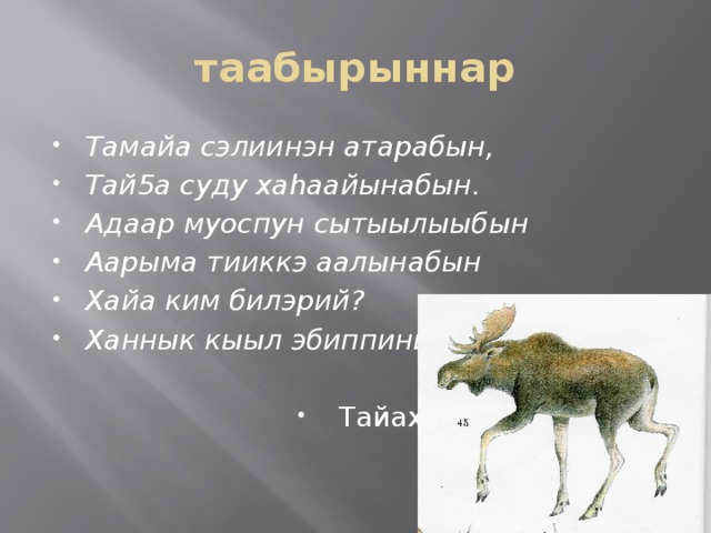 таабырыннар Тамайа сэлиинэн атарабын, Тай5а суду хаhаайынабын. Адаар муоспун сытыылыыбын Аарыма тииккэ аалынабын Хайа ким билэрий? Ханнык кыыл эбиппиний?  Тайах 