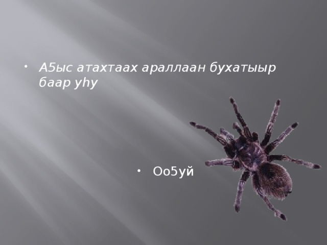 А5ыс атахтаах араллаан бухатыыр баар уhу Оо5уй 