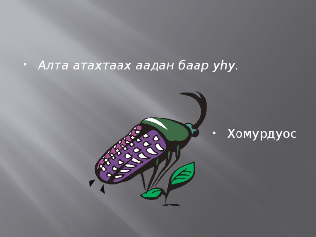 Алта атахтаах аадан баар уhу. Хомурдуос 