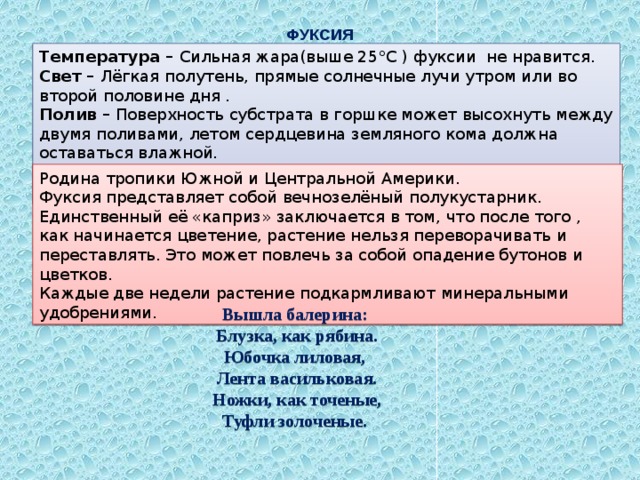 ФУКСИЯ Температура – Сильная жара(выше 25°C ) фуксии не нравится. Свет – Лёгкая полутень, прямые солнечные лучи утром или во второй половине дня . Полив – Поверхность субстрата в горшке может высохнуть между двумя поливами, летом сердцевина земляного кома должна оставаться влажной. Влажность воздуха - С ноября по март опрыскивать 1 – 2 раза в неделю. Родина тропики Южной и Центральной Америки. Фуксия представляет собой вечнозелёный полукустарник. Единственный её «каприз» заключается в том, что после того , как начинается цветение, растение нельзя переворачивать и переставлять. Это может повлечь за собой опадение бутонов и цветков. Каждые две недели растение подкармливают минеральными удобрениями. Вышла балерина:  Блузка, как рябина.  Юбочка лиловая,  Лента васильковая.  Ножки, как точеные,  Туфли золоченые. 