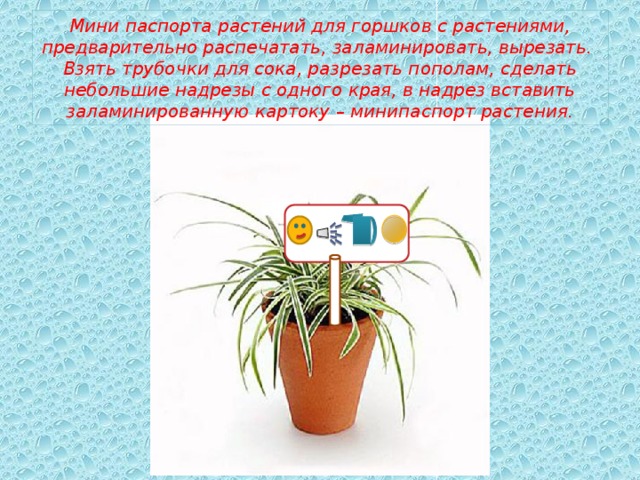 Мини паспорта растений для горшков с растениями, предварительно распечатать, заламинировать, вырезать.  Взять трубочки для сока, разрезать пополам, сделать небольшие надрезы с одного края, в надрез вставить заламинированную картоку – минипаспорт растения. 28 