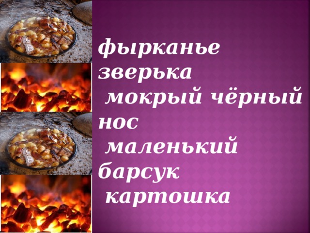 фырканье зверька  мокрый чёрный нос  маленький барсук  картошка 