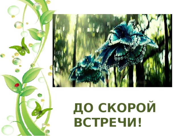 ДО СКОРОЙ ВСТРЕЧИ! 