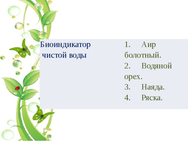 Биоиндикатор  чистой воды 1.     Аир болотный. 2.     Водяной орех. 3.     Наяда. 4.     Ряска. 