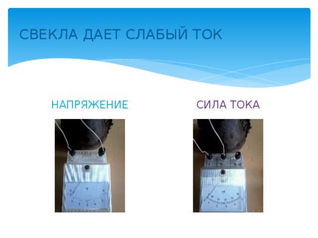 СВЕКЛА ДАЕТ СЛАБЫЙ ТОК НАПРЯЖЕНИЕ СИЛА ТОКА 