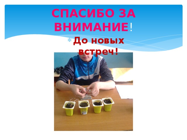 СПАСИБО ЗА ВНИМАНИЕ ! До новых встреч! 