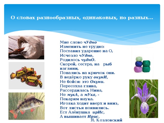  О словах разнообразных, одинаковых, но разных...   Мне слово чУдно Изменить не трудно: Поставил ударение на О, Исчезло чУдно, Родилось чуднО. Скорей, сестра, на рыб взгляни, Попались на крючок они. В ведёрко руку окунИ, Не бойся: это Окуни. Пересохла глина, Рассердилась Нина, Не мукА, а мУка, - Пекарям наука. Иголка ходит вверх и вниз, Вот листья появились. Ест Алёнушка ирИс, А вышивает Ирис. Я. Козловский  