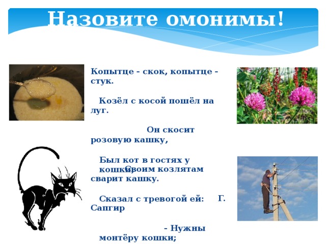 Назовите омонимы! Копытце - скок, копытце - стук. Козёл с косой пошёл на луг. Он скосит розовую кашку, Своим козлятам сварит кашку.   Г. Сапгир Был кот в гостях у кошки, Сказал с тревогой ей: - Нужны монтёру кошки; Слыхал я сам, ей-ей!   Я. Козловский 