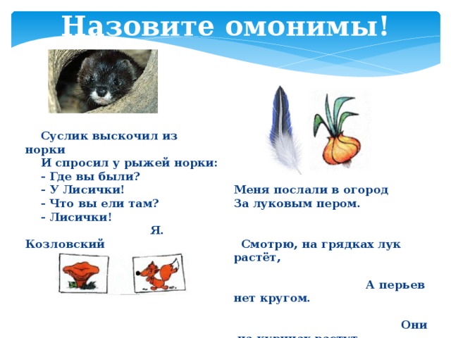 Назовите омонимы!  Суслик выскочил из норки  И спросил у рыжей норки:  - Где вы были?  - У Лисички!  - Что вы ели там?  - Лисички!  Я. Козловский Меня послали в огород  За луковым пером. Смотрю, на грядках лук растёт, А перьев нет кругом. Они на курицах растут, Я точно знаю это. Какая - то ошибка тут - У лука перьев нету.   Г. Новицкая 