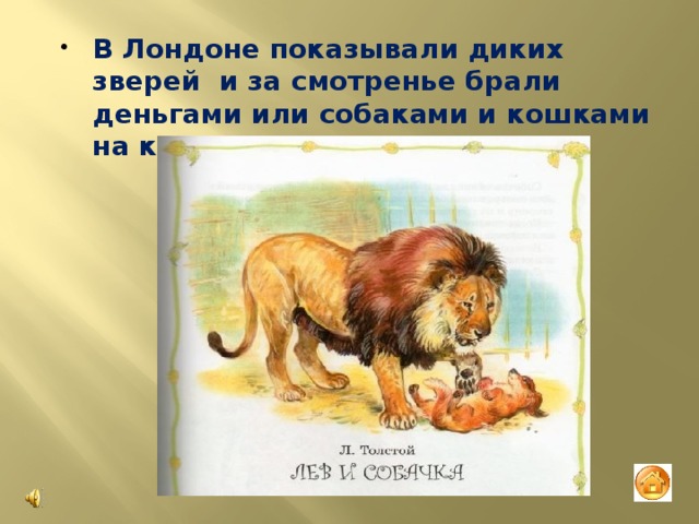 В Лондоне показывали диких зверей и за смотренье брали деньгами или собаками и кошками на корм диким зверям. 