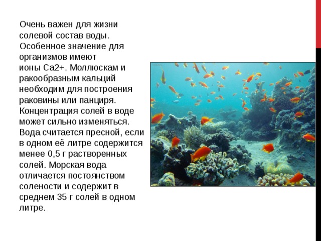Очень важен для жизни солевой состав воды. Особенное значение для организмов имеют ионы Ca2+. Моллюскам и ракообразным кальций необходим для построения раковины или панциря. Концентрация солей в воде может сильно изменяться. Вода считается пресной, если в одном её литре содержится менее 0,5 г растворенных солей. Морская вода отличается постоянством солености и содержит в среднем 35 г солей в одном литре. 