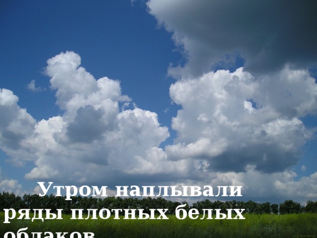  Неслыханная жара стояла в то лето над лесами. 