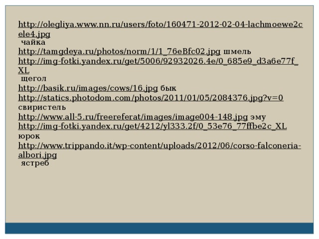 http://olegliya.www.nn.ru/users/foto/160471-2012-02-04-lachmoewe2cele4.jpg  чайка http://tamgdeya.ru/photos/norm/1/1_76eBfc02.jpg  шмель http://img-fotki.yandex.ru/get/5006/92932026.4e/0_685e9_d3a6e77f_XL  щегол http://basik.ru/images/cows/16.jpg  бык http://statics.photodom.com/photos/2011/01/05/2084376.jpg?v=0  свиристель http://www.all-5.ru/freereferat/images/image004-148.jpg  эму http://img-fotki.yandex.ru/get/4212/yl333.2f/0_53e76_77ffbe2c_XL  юрок http://www.trippando.it/wp-content/uploads/2012/06/corso-falconeria-albori.jpg  ястреб 