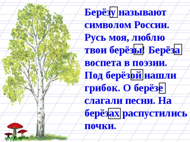 Берёзу называют символом России. Русь моя, люблю твои берёзы! Берёза воспета в поэзии. Под берёзой нашли грибок. О берёзе слагали песни. На берёзах распустились почки. 