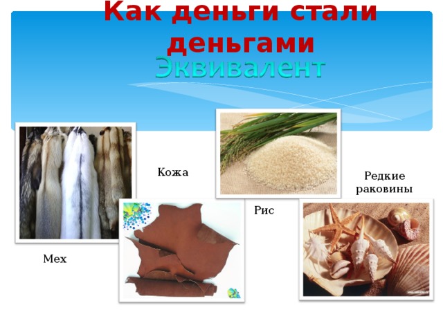 Как деньги стали деньгами Кожа Редкие раковины Рис Мех 