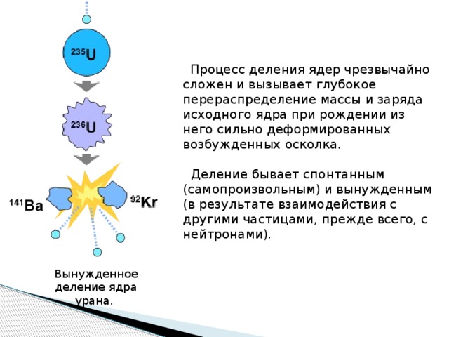  Процесс деления ядер чрезвычайно сложен и вызывает глубокое перераспределение массы и заряда исходного ядра при рождении из него сильно деформированных возбужденных осколка.  Деление бывает спонтанным (самопроизвольным) и вынужденным (в результате взаимодействия с другими частицами, прежде всего, с нейтронами). Вынужденное деление ядра урана. 