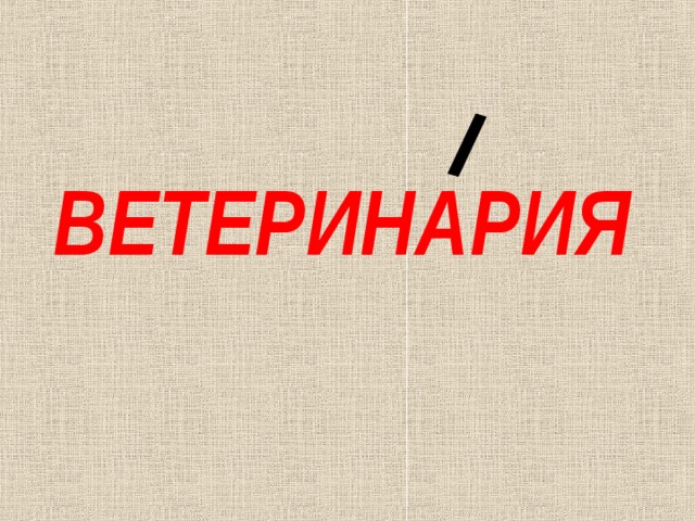 ВЕТЕРИНАРИЯ 