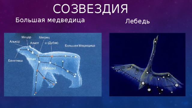 созвездия Большая медведица Лебедь  