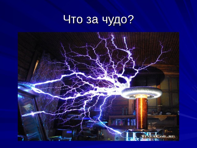 Что за чудо? 