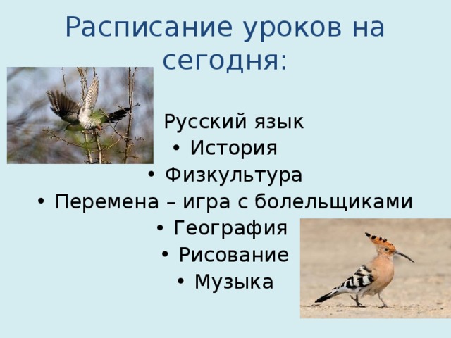 Расписание уроков на сегодня: