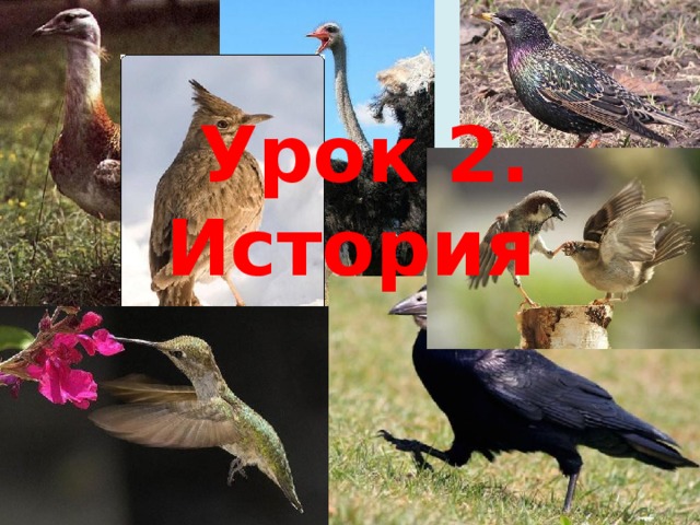 Урок 2. История