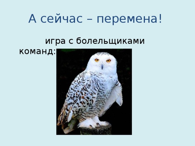 А сейчас – перемена!  игра с болельщиками команд:
