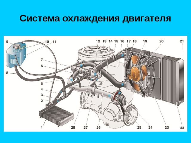 Система охлаждения двигателя 