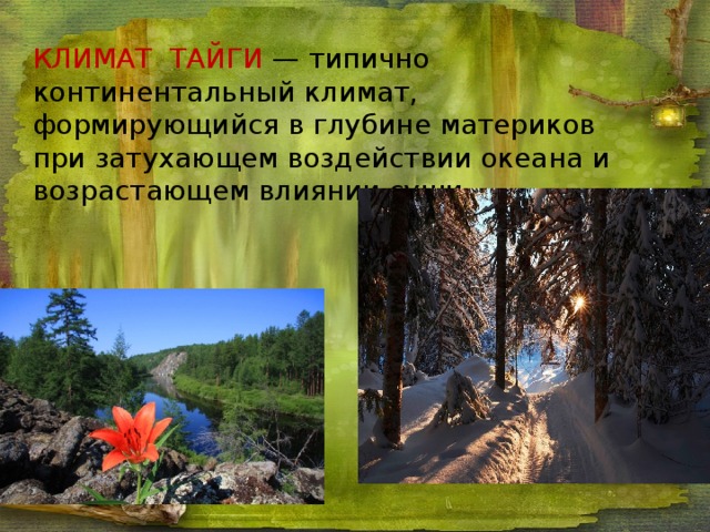 КЛИМАТ ТАЙГИ — типично континентальный климат, формирующийся в глубине материков при затухающем воздействии океана и возрастающем влиянии суши.