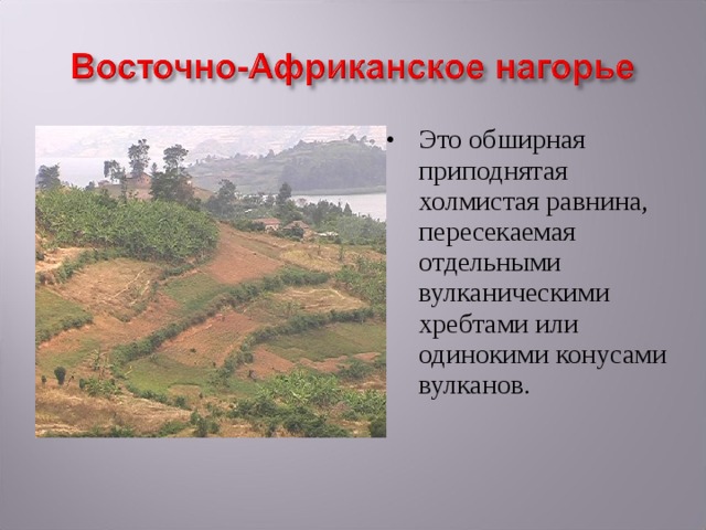 Это обширная приподнятая холмистая равнина, пересекаемая отдельными вулканическими хребтами или одинокими конусами вулканов. 