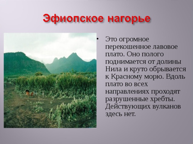 Это огромное перекошенное лавовое плато. Оно полого поднимается от долины Нила и круто обрывается к Красному морю. Вдоль плато во всех направлениях проходят разрушенные хребты. Действующих вулканов здесь нет. 