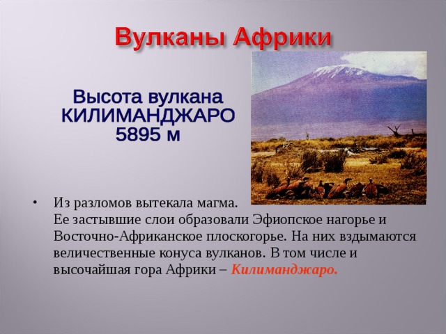 Из разломов вытекала магма.  Ее застывшие слои образовали Эфиопское нагорье и Восточно-Африканское плоскогорье. На них вздымаются величественные конуса вулканов. В том числе и высочайшая гора Африки – Килиманджаро. 