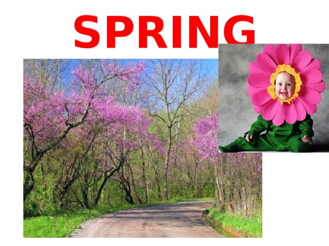 SPRING 