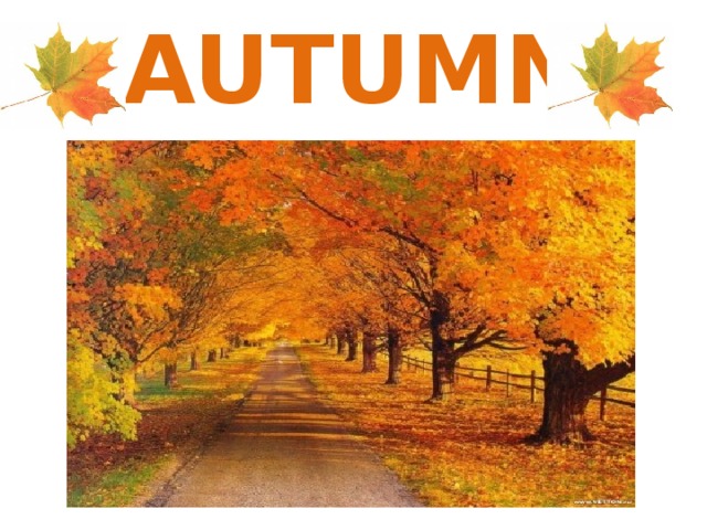 AUTUMN 