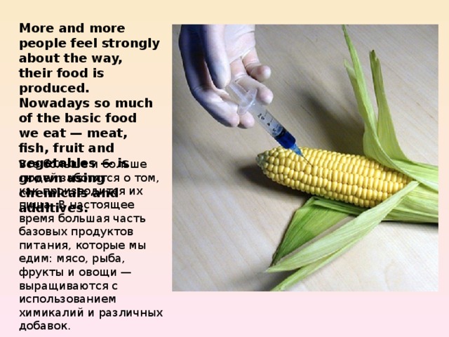 More and more people feel strongly about the way, their food is produced. Nowadays so much of the basic food we eat — meat, fish, fruit and vegetables — is grown using chemicals and additives. Все больше и больше людей заботятся о том, как производится их пища. В настоящее время большая часть базовых продуктов питания, которые мы едим: мясо, рыба, фрукты и овощи — выращиваются с использованием химикалий и различных добавок.  