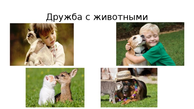 Дружба с животными 