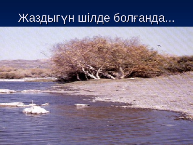 Жаздыгүн шілде болғанда... 