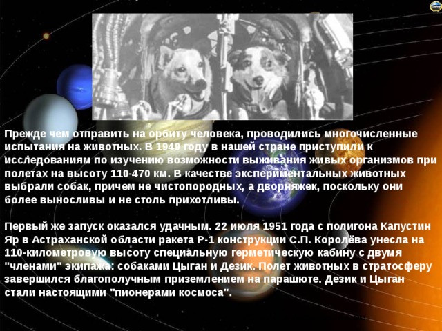 Прежде чем отправить на орбиту человека, проводились многочисленные испытания на животных. В 1949 году в нашей стране приступили к исследованиям по изучению возможности выживания живых организмов при полетах на высоту 110-470 км. В качестве экспериментальных животных выбрали собак, причем не чистопородных, а дворняжек, поскольку они более выносливы и не столь прихотливы.   Первый же запуск оказался удачным. 22 июля 1951 года с полигона Капустин Яр в Астраханской области ракета Р-1 конструкции С.П. Королёва унесла на 110-километровую высоту специальную герметическую кабину с двумя 