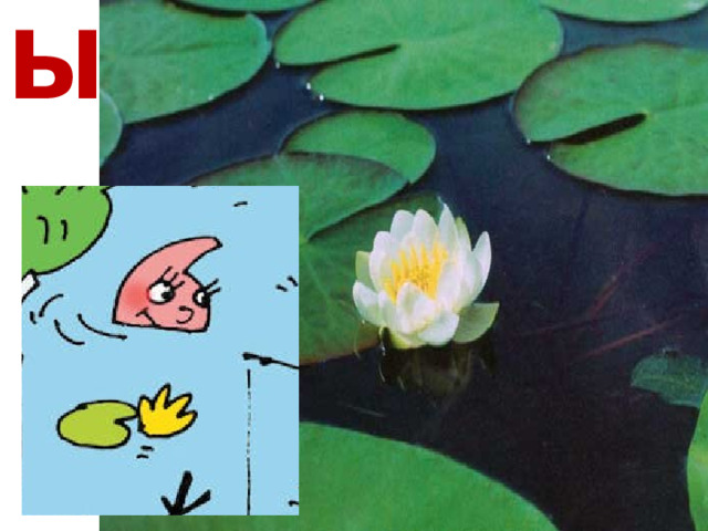 Ы 