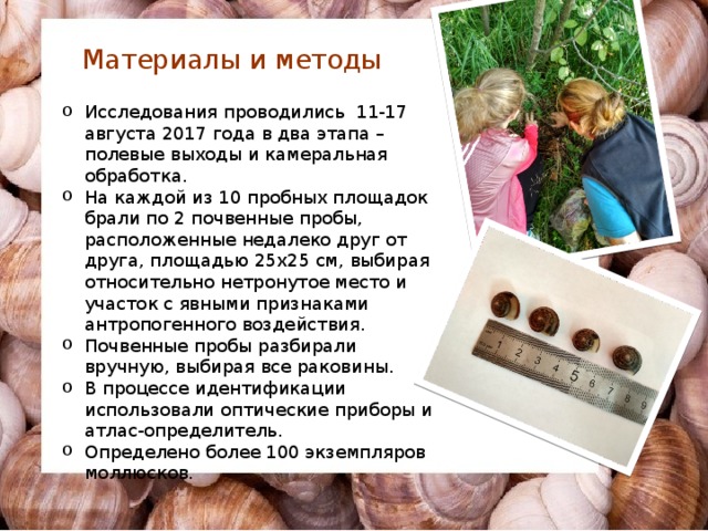 Материалы и методы Исследования проводились 11-17 августа 2017 года в два этапа – полевые выходы и камеральная обработка. На каждой из 10 пробных площадок брали по 2 почвенные пробы, расположенные недалеко друг от друга, площадью 25х25 см, выбирая относительно нетронутое место и участок с явными признаками антропогенного воздействия. Почвенные пробы разбирали вручную, выбирая все раковины. В процессе идентификации использовали оптические приборы и атлас-определитель. Определено более 100 экземпляров моллюсков. 